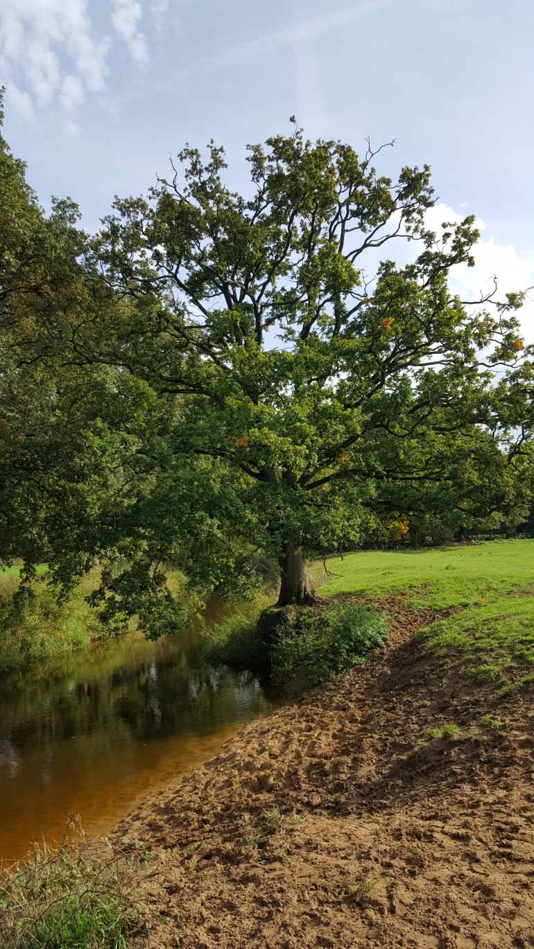 Herfstwandeling Beuningen