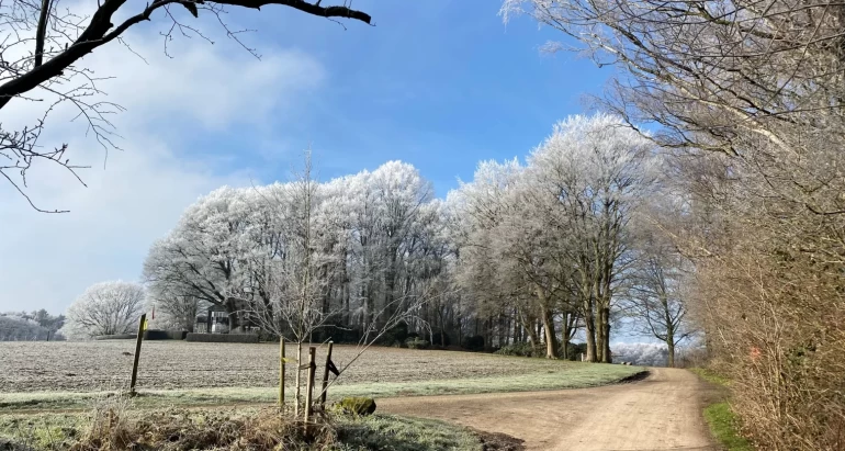 Tweede Kerstdagwandeling in Beuningen